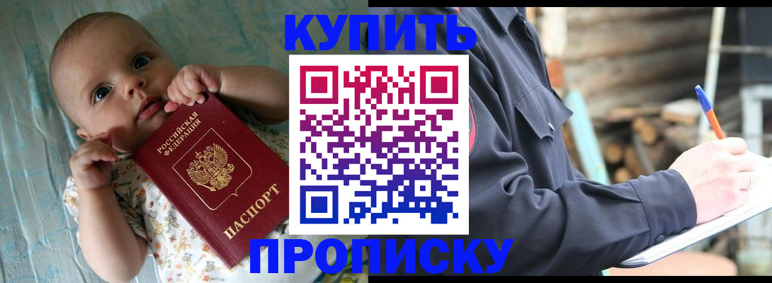 прописка поиск в Новгородской области